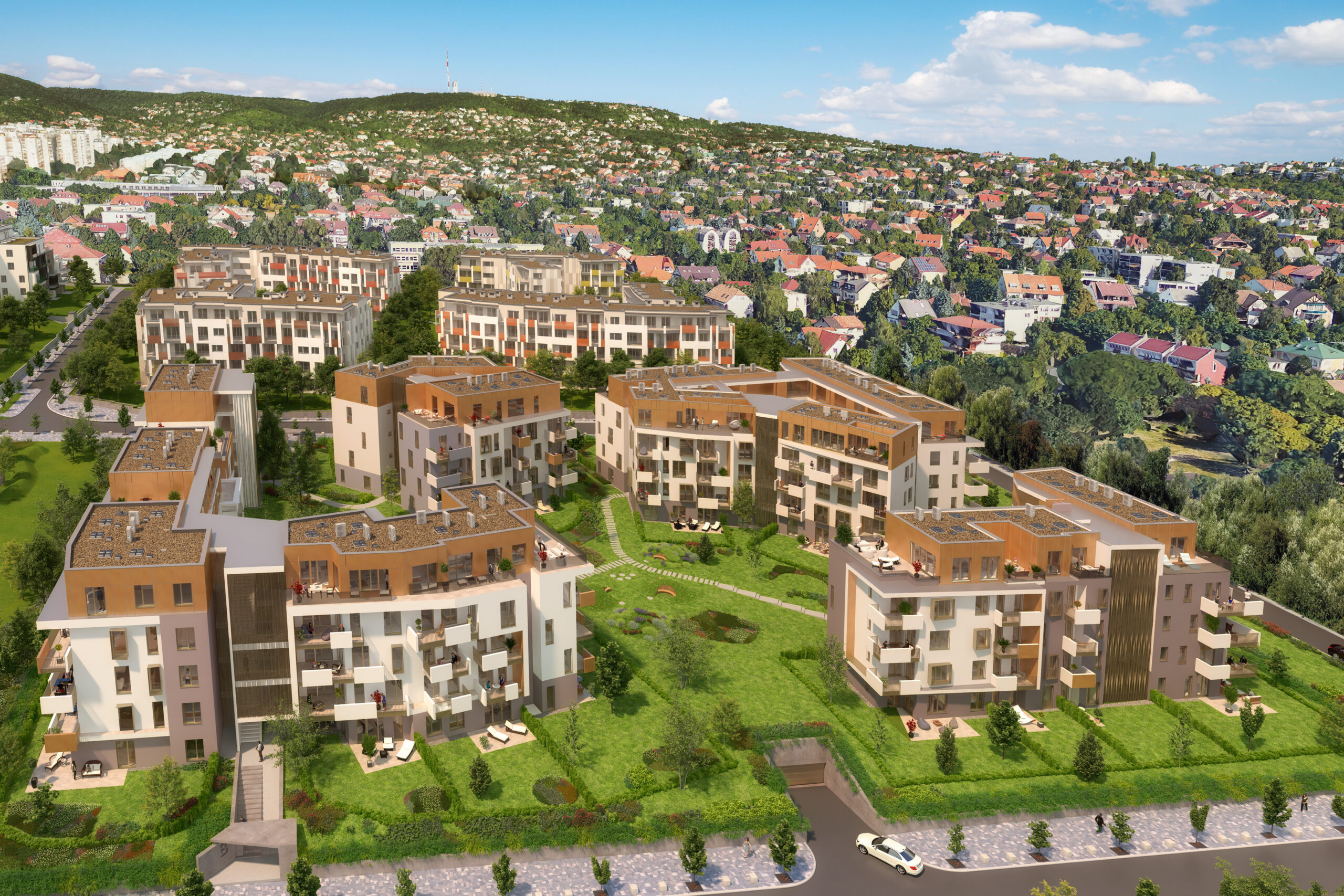 sasad6_v02_nappal_madar_002_016